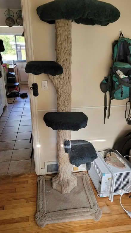 Photo of free Extremely large cat tree (Northgate) #2