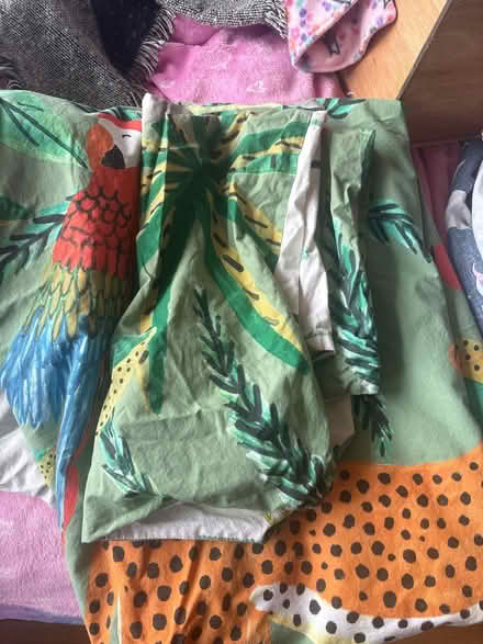 Photo of free Jungle single bedding (Leeds LS8) #1