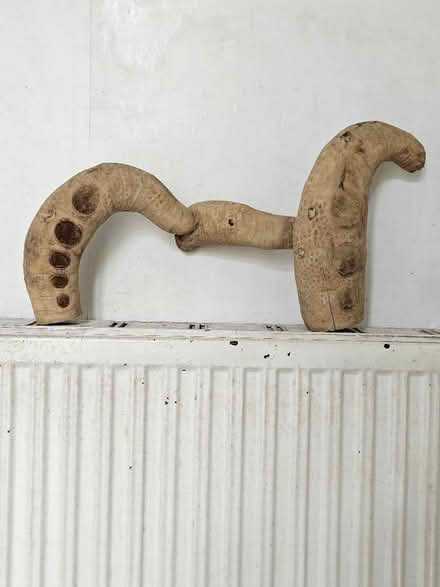 Photo of free Reptile tank furniture (Polwarth EH11) #1