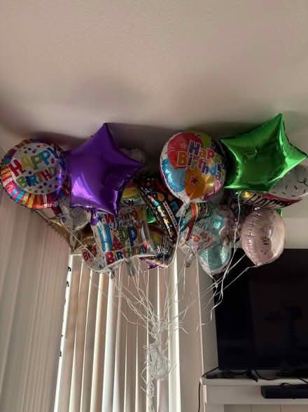Photo of free 24 balloons (Boise Towne square) #2