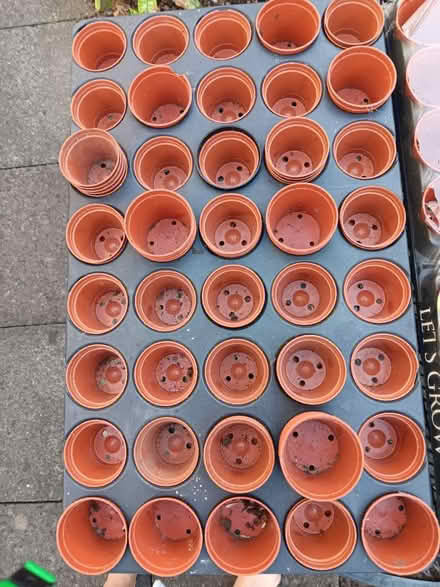 Photo of free Mini pots (Rathmines/Ranelagh) #2