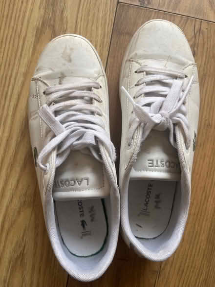 Photo of free Original Lacoste shoes (Brentford) #1
