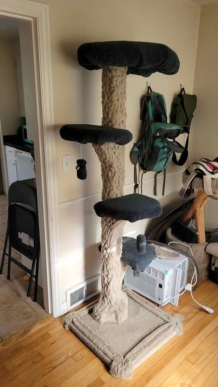 Photo of free Extremely large cat tree (Northgate) #1