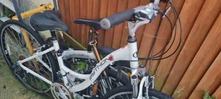 Photo of free Python Daytona Bike (Upper Walthamstow area E17) #2