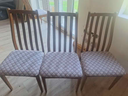 Photo of free Dining chairs (Borehamwood WD6) #3
