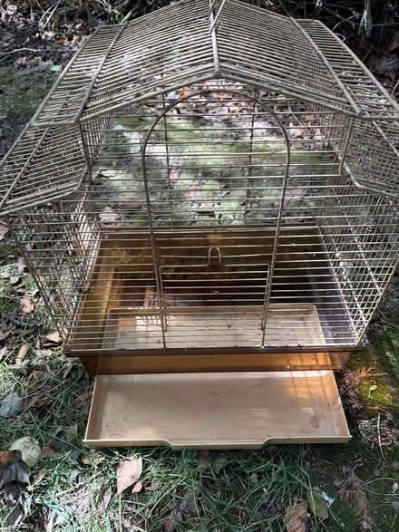 Photo of free Bird Cage (Dinton SP3) #2