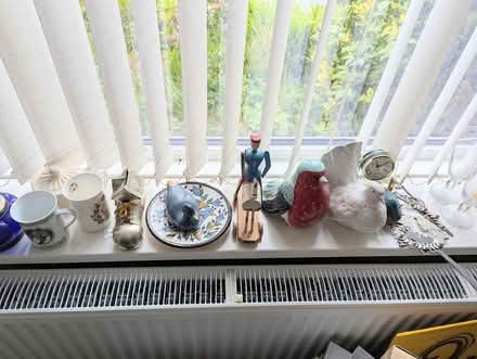 Photo of free Birds and other bric-a-brac (BD20 5NE) #1