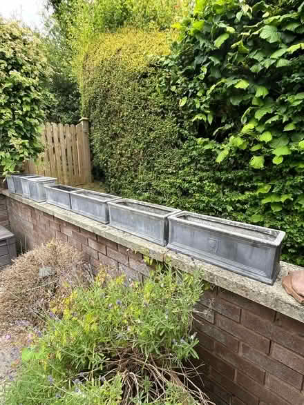 Photo of free 4 RHS grey rectangular planters (Llandrindod LD1) #1