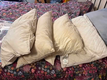 Photo of free 4 x Nice squash pillows (Shephall SG2) #1