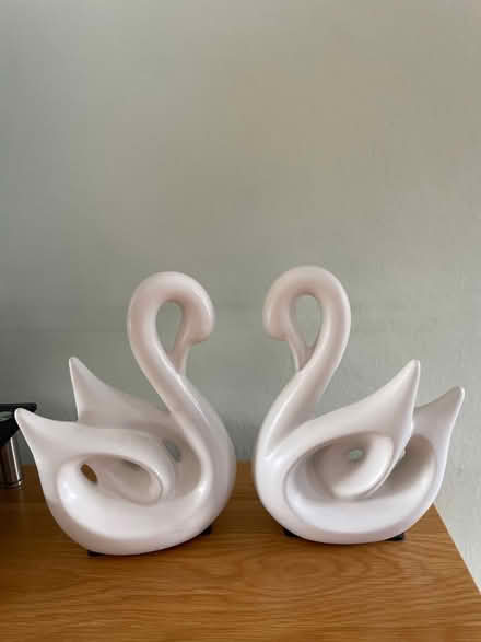 Photo of free Pair of white swans (Chessington KT9) #3