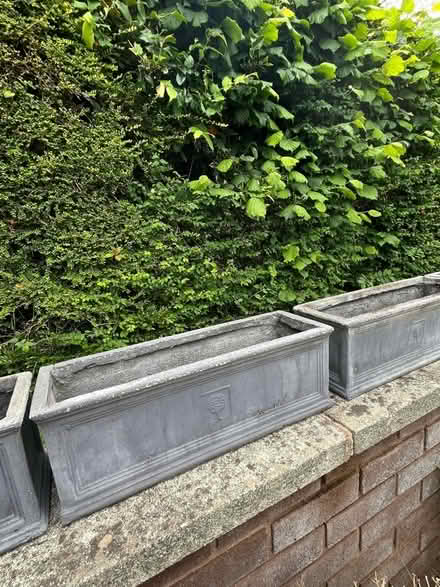 Photo of free 4 RHS grey rectangular planters (Llandrindod LD1) #2