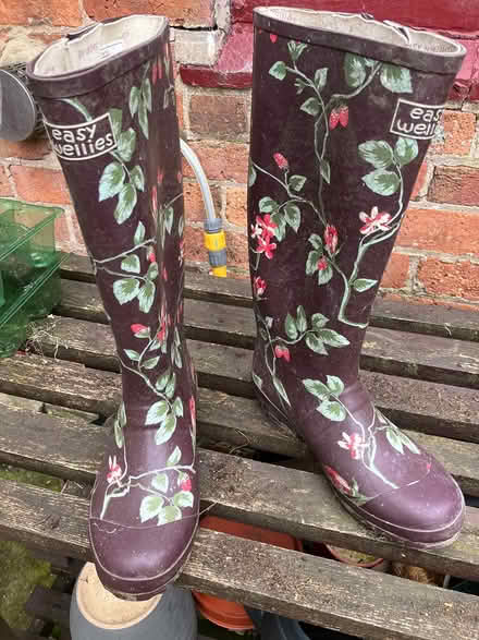 Photo of free Wellington boots (Belper DE56) #1