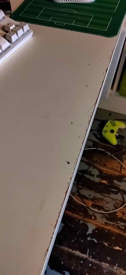 Photo of free loft bed (Carterknowle S7) #2