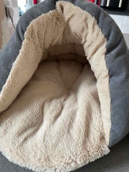 Photo of free 2 small cat beds (Chessington KT9) #2