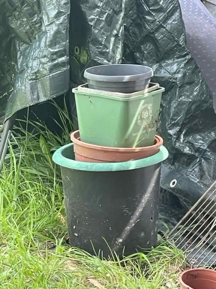 Photo of free Plastic pots lot (N8 0LD) #2
