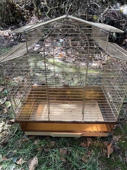 Photo of free Bird Cage (Dinton SP3) #1