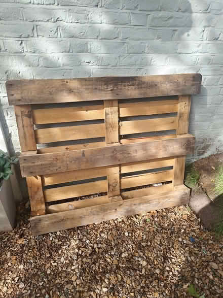 Photo of free Pallet (Barnes SW13) #1