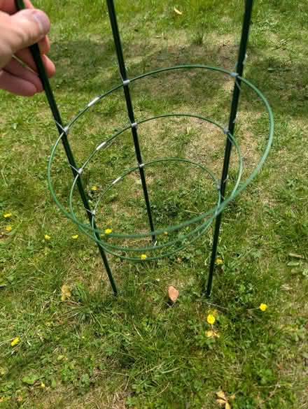 Photo of free Flower support (Oxford OX3) #1