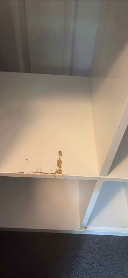 Photo of free ikea kallax unit (Chiswick) #3