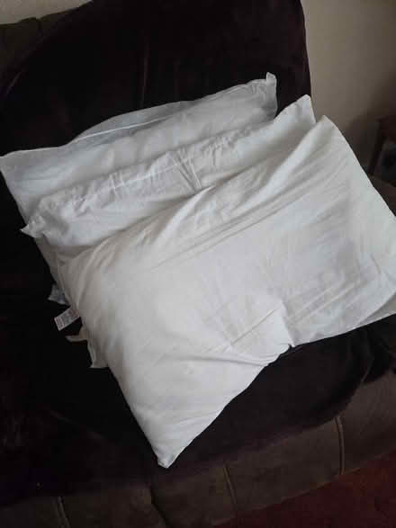 Photo of free 3 clean pillows (Fenham NE5) #1