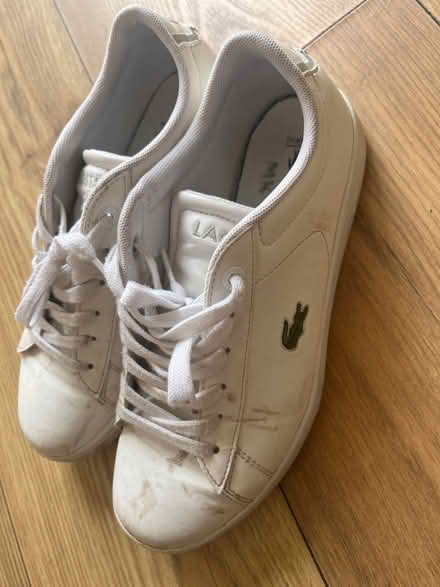 Photo of free Original Lacoste shoes (Brentford) #2