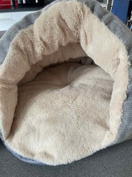 Photo of free 2 small cat beds (Chessington KT9) #3