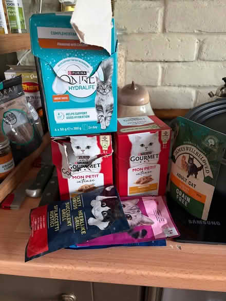 Photo of free cat food (Croham CR2) #1