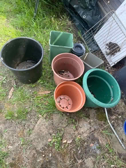 Photo of free Plastic pots lot (N8 0LD) #1