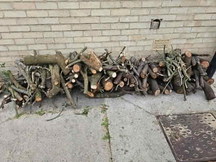 Photo of free Tree logs (Headington OX3) #1
