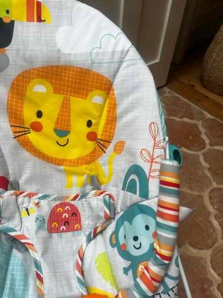 Photo of free Baby bouncer (BN2) #3