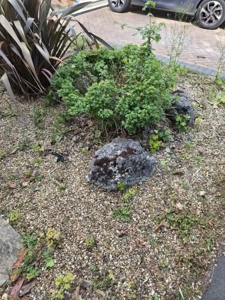 Photo of free Big driveway boulders and stones (Tewin) #1