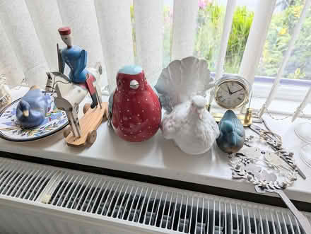 Photo of free Birds and other bric-a-brac (BD20 5NE) #3