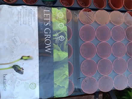 Photo of free Mini pots (Rathmines/Ranelagh) #3