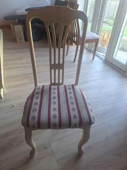 Photo of free Dining chairs (Borehamwood WD6) #2