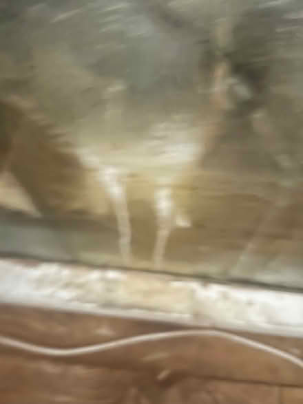 Photo of free Fish tank (Orpington BR5) #4