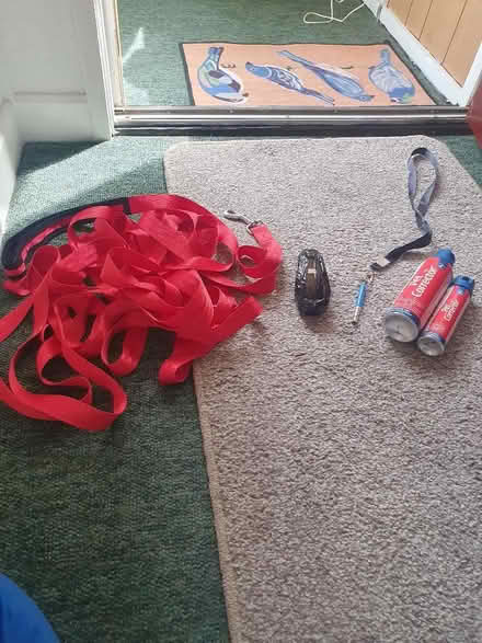 Photo of free Dog training accessories (Elstow MK42) #1