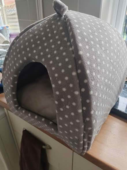 Photo of free Cat bed hardly ever used (Hereford HR4 0Jz) #1