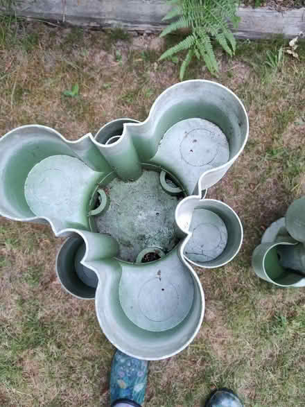 Photo of free Ken Muir strawberry towers (Tilekiln TN38) #2