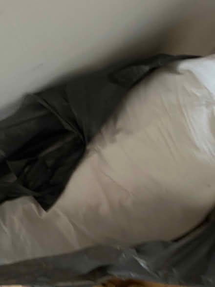Photo of free Large feather cushion (SE20) #1