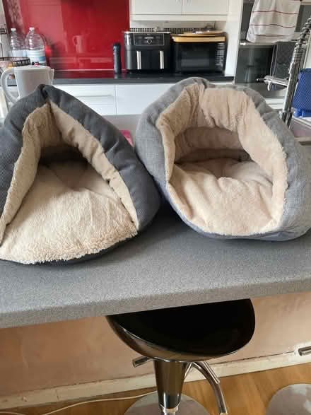 Photo of free 2 small cat beds (Chessington KT9) #1
