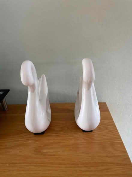 Photo of free Pair of white swans (Chessington KT9) #1