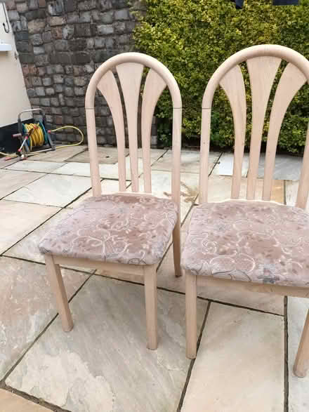 Photo of free 2 x dining chairs (Stillorgan) #1