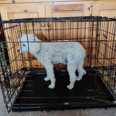 Photo of free Medium size dog crate (Barnard castle DL12) #2