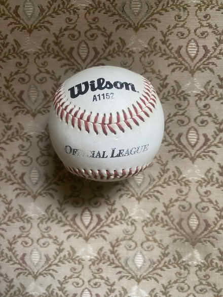 Photo of free Cricket ball (Lullington BA11) #1