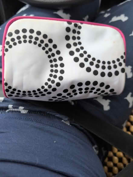 Photo of free Travel pouch (Britannia) #2