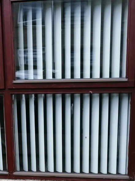 Photo of free Vertical Blinds (Holywood) #1