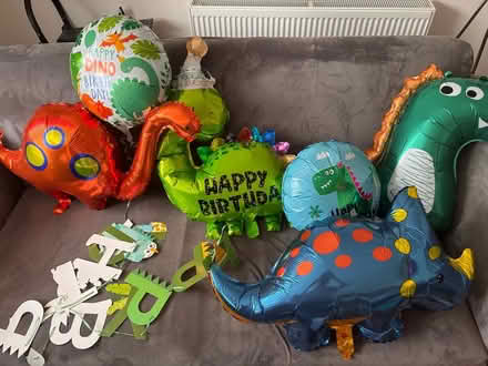 Photo of free Dinosaur Balloons (Kingsway BA2) #1