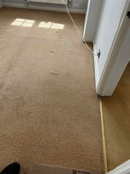 Photo of free Cream carpet with underlay (Billericay CM12) #3
