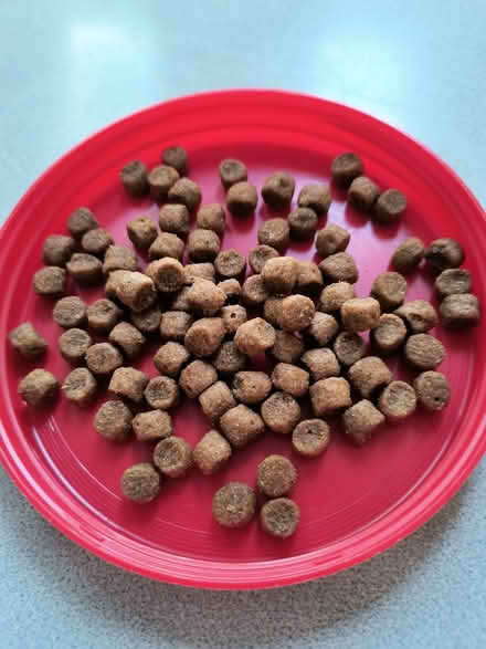 Photo of free ~2lbs Costco small dog kibble (near Maryvale Park) #2