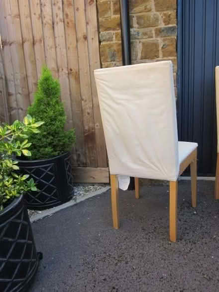 Photo of free Dining table chairs (Bodicote OX15) #2